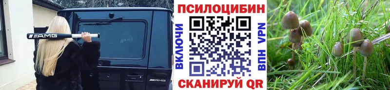 Галлюциногенные грибы Magic Shrooms  как найти наркотики  Петровск 